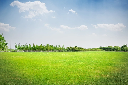 Birla Khopoli
